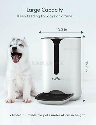 Automatic Cat & Dog Food Dispenser for Small Pets